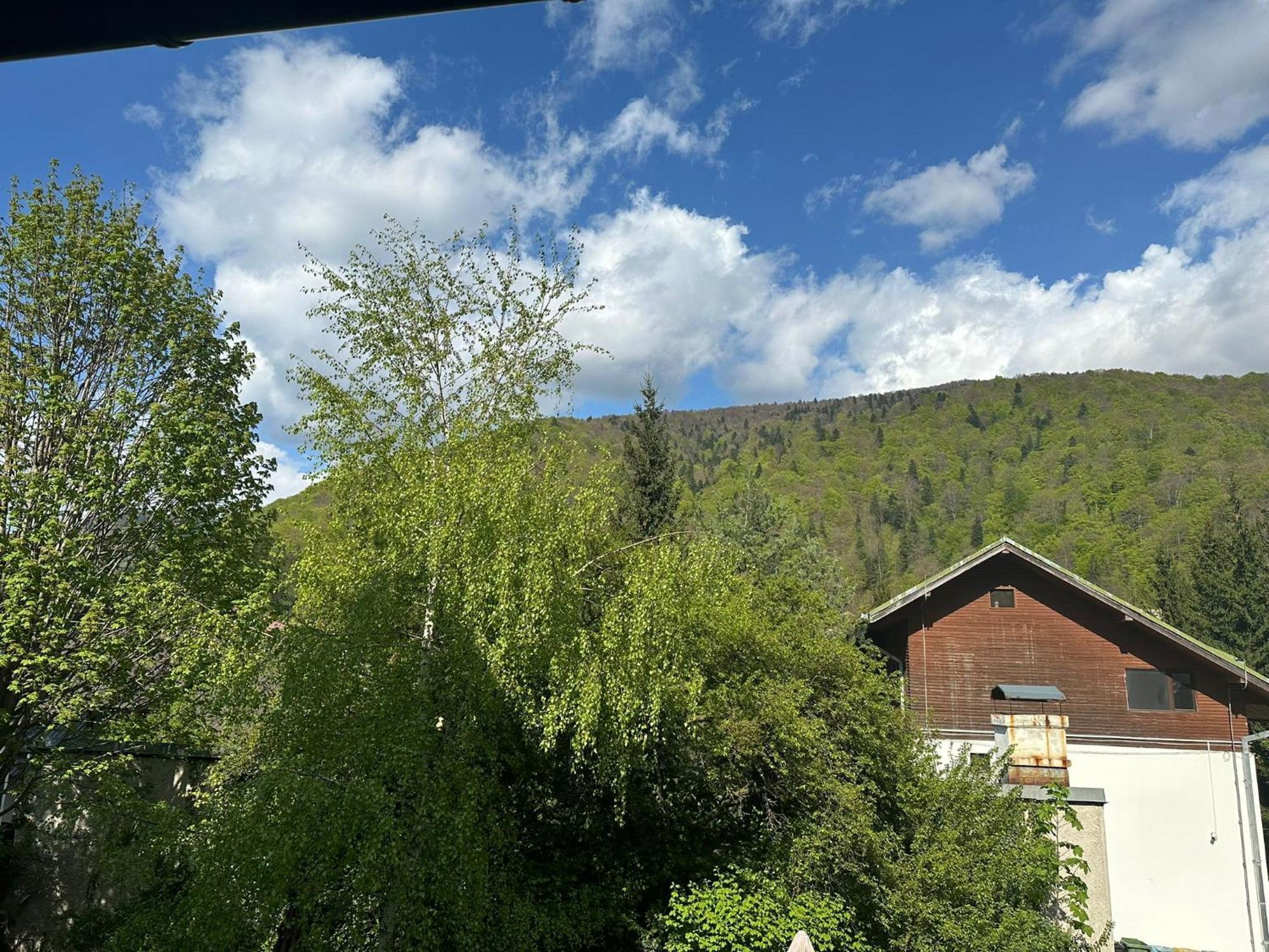 Bed and breakfast Rapsodia Sinaia Extérieur photo