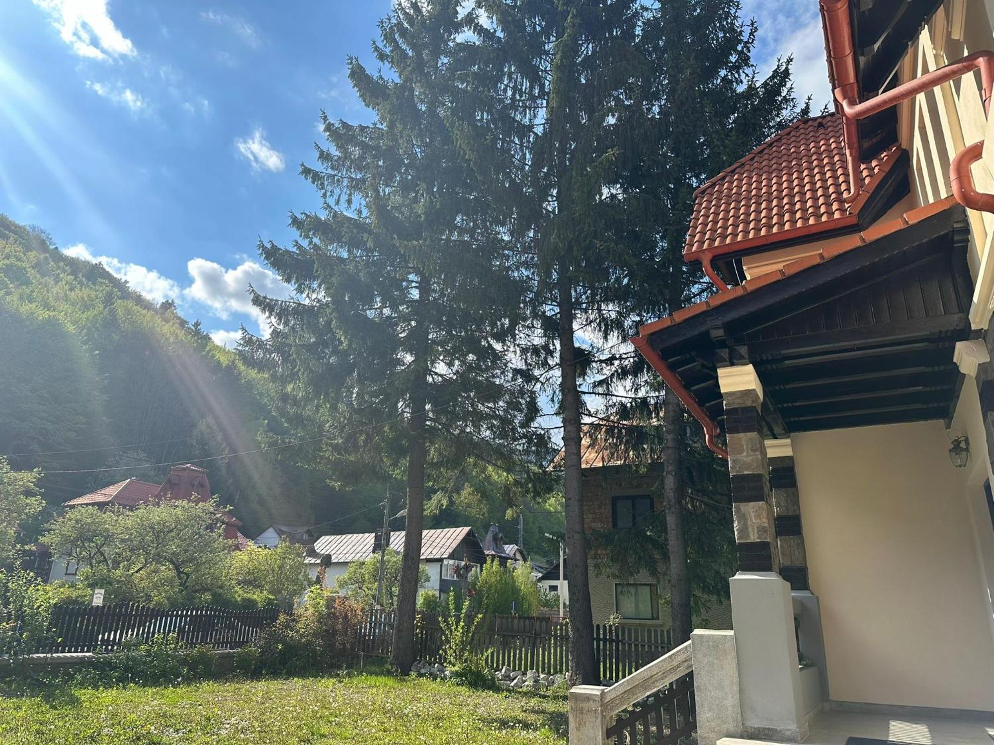 Bed and breakfast Rapsodia Sinaia Extérieur photo