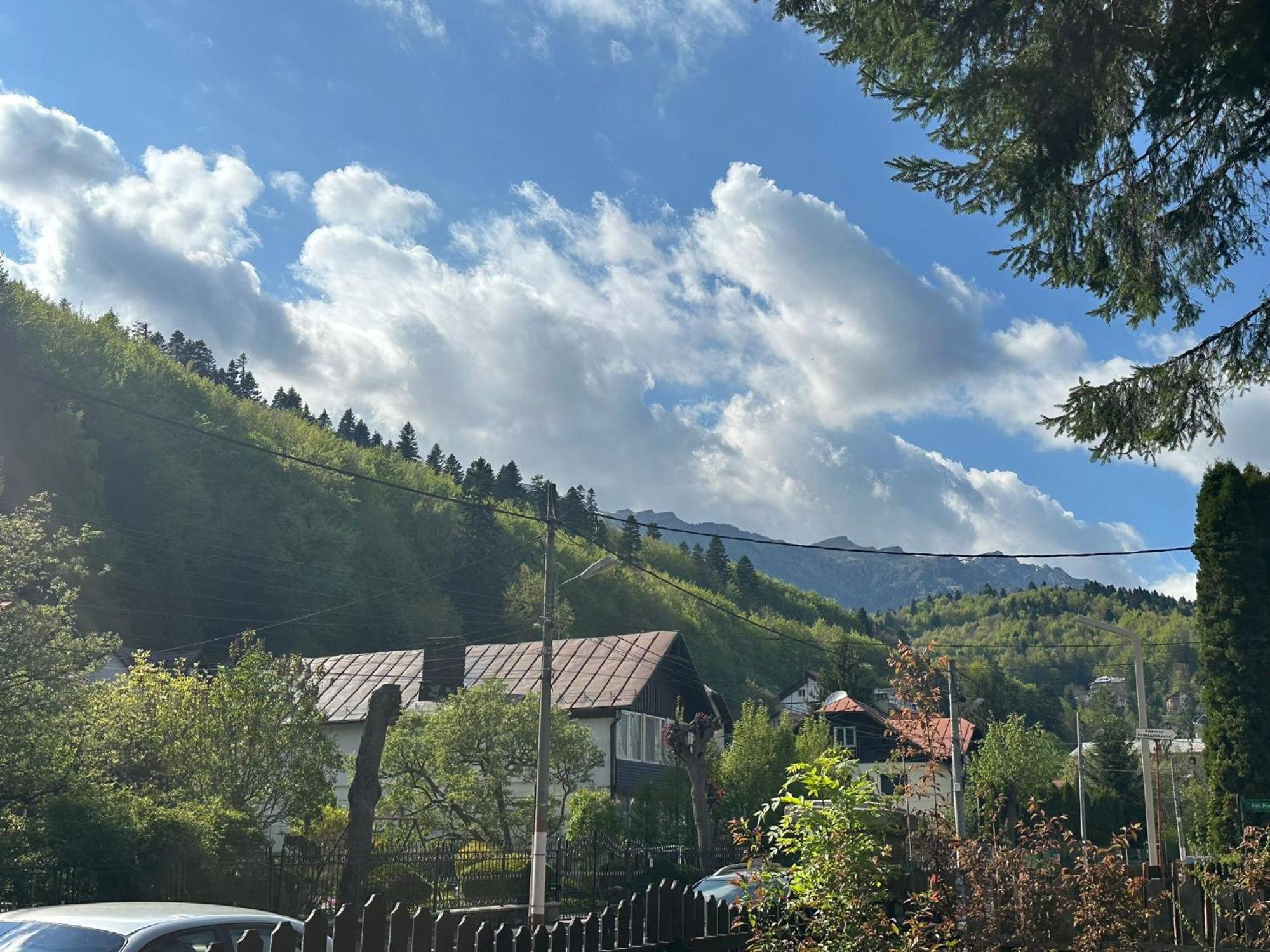 Bed and breakfast Rapsodia Sinaia Extérieur photo