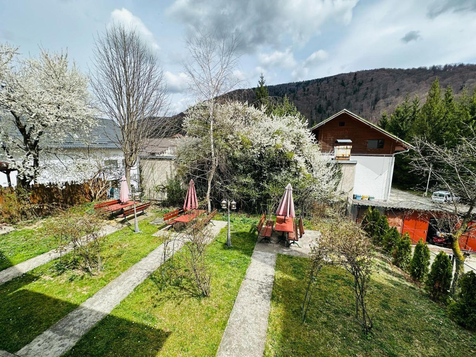 Bed and breakfast Rapsodia Sinaia Extérieur photo