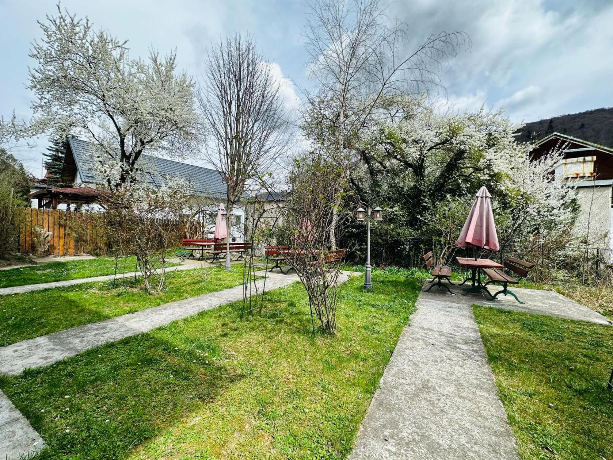 Bed and breakfast Rapsodia Sinaia Extérieur photo